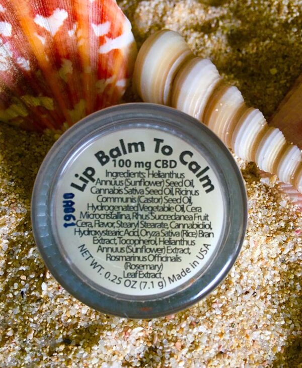 Lip Balm to Calm container with sea shells